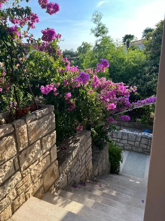 Paola Cozy Studio Rovinj 0*,  Kroatien